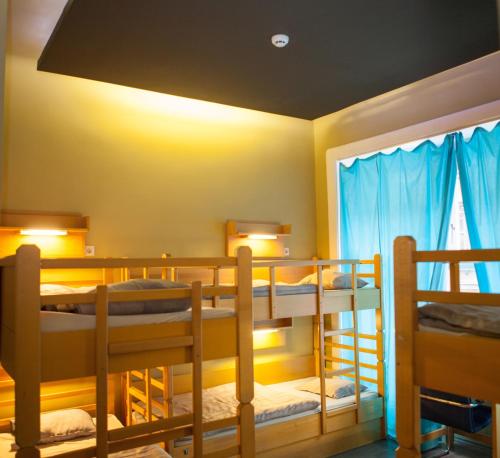 Treestyle Hostel, Budapešť (fotografie 5)