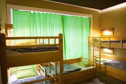 Treestyle Hostel, Budapešť (fotografie 8)
