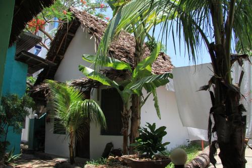 HOMELAND SWAHILI LODGE Nungwi Backpacker Apartments BUDGET 3