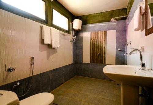 Beyond Stay Jungle Camp Sariska