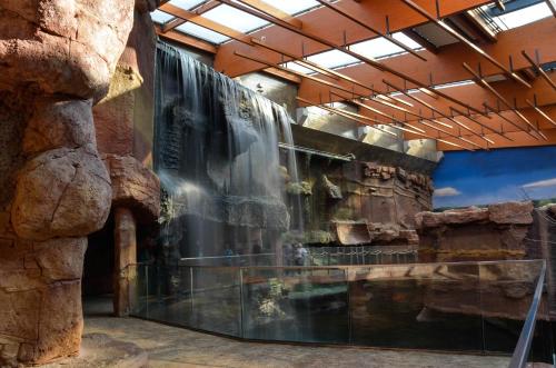 288037446 Art Hotel