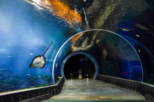 288037451 Art Hotel