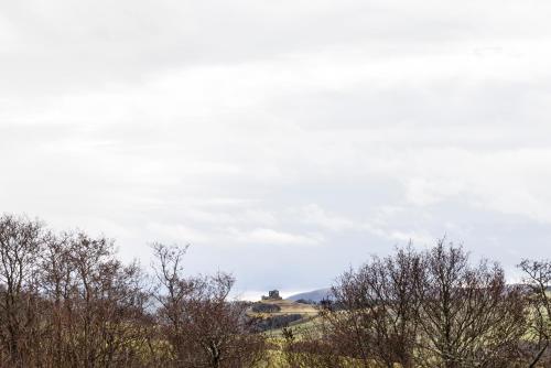 The Milking Sheds, Dufftown