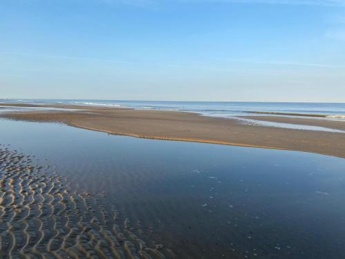 Surrounding environment, holiday cottage 'FLOW' in Geest