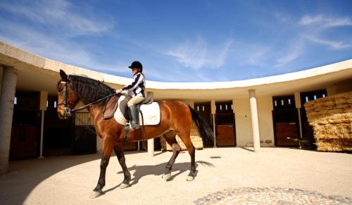 Cortijo El Sotillo - image 11