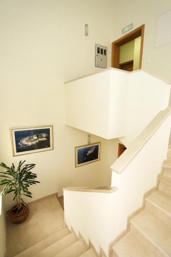 Apartments Ivana - Iva - image 6