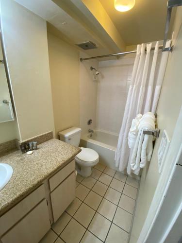 2427 Kuhio Ave #701 - image 3