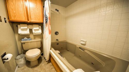 Mountain Spirit #204 Condo - image 7