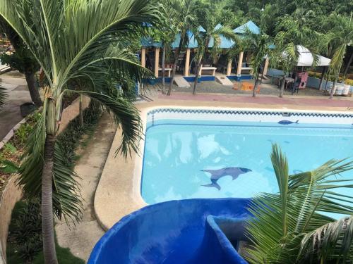 Foto - RedDoorz Near Gaisano Grand Cordova