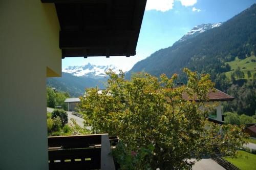 Ferienwohnung Hildegard in Silbertal