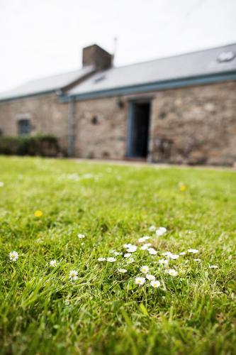 Borthwen Bach