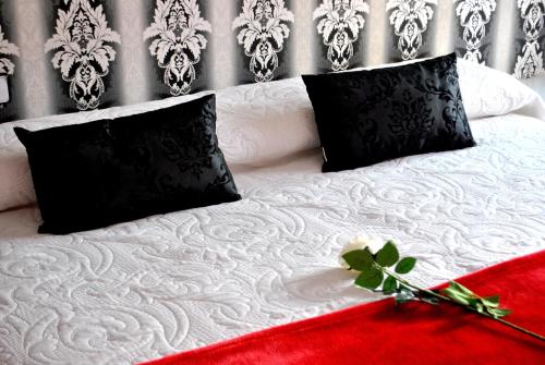 Madrid City Rooms - image 8
