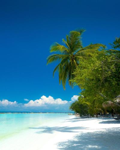 La Isla Bonita Maldives