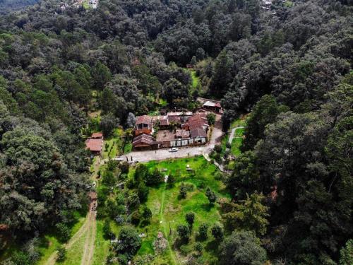 Cabana en el bosque en Acaxochitlan