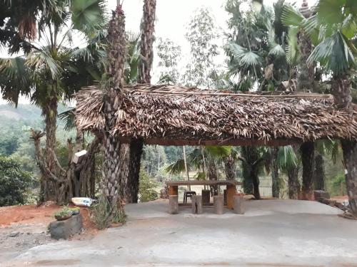 Vu Linh Palm House Homestay - Bungalow