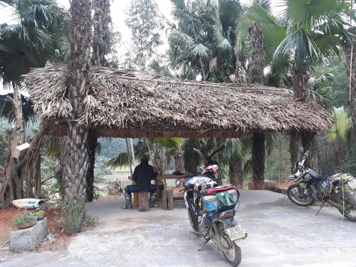 Vu Linh Palm House Homestay - Bungalow