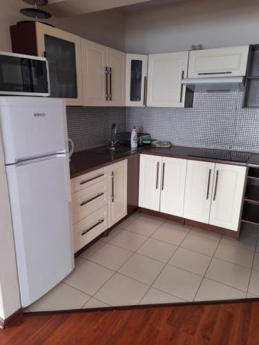Villa Mango - image 14