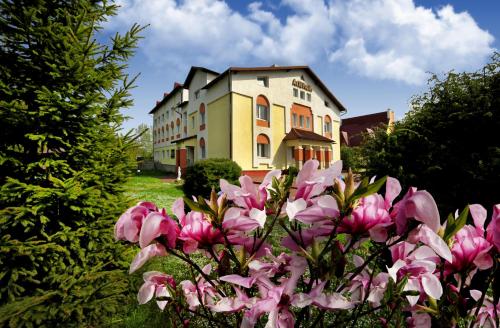 Алексік, Truskavec'