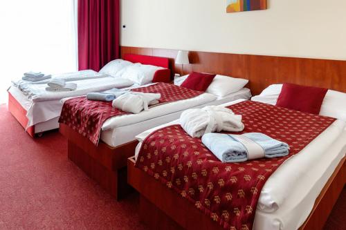 Double or Twin Room with Extra Bed and Aquapark access