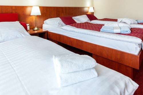Hotel Senec Lake & Aqua Resort - image 7
