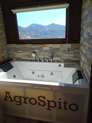 AgroSpito Traditional Guest House in 阿格羅斯