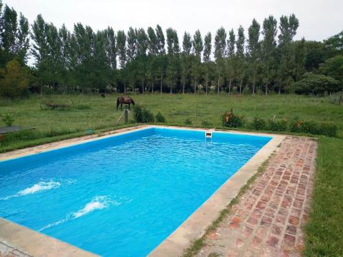 Don Luis Bueno in Carmen De Areco