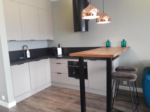 Studio Apartment image 7
