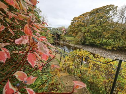 Old Bridge Inn - image 13