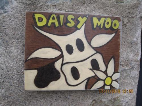 Foto 1: Daisy Moo