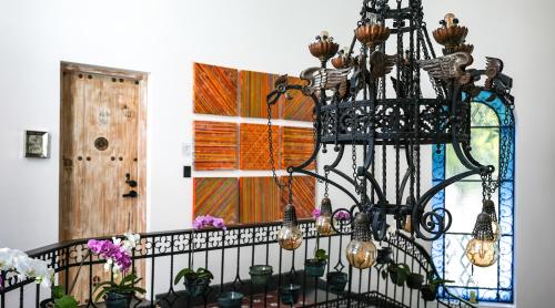 Orchid House Polanco Orchid House Polanco