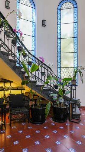 Orchid House Polanco Orchid House Polanco