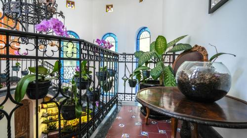 Orchid House Polanco Orchid House Polanco