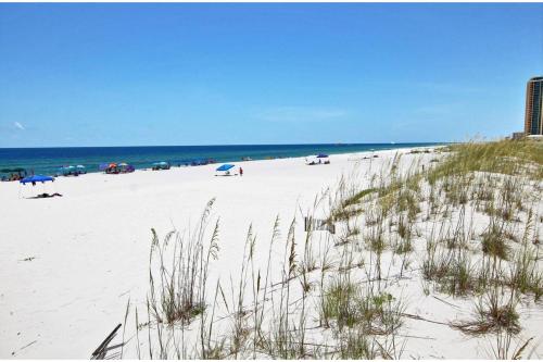 Hammock Dunes J by Youngs Suncoast - image 3