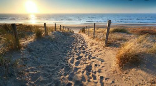 Studio Lief Bergen binnen, bij bos duin en dorp in Boschrand