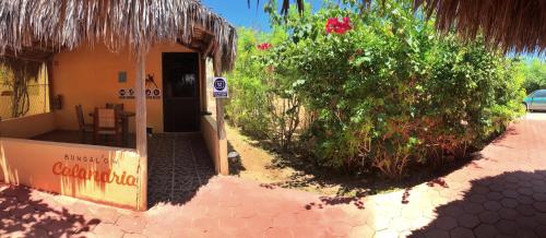 Bungalows Cabo Pulmo