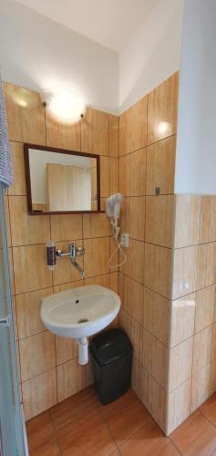 Penzion Amfík Bukovina - image 11