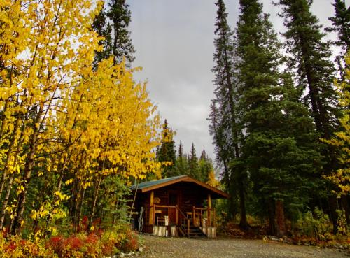 Carlo Creek Cabins