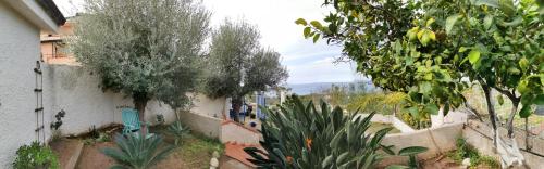 La casita