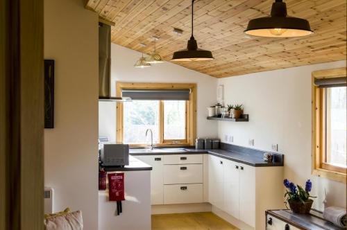 Fern Lodge - 2 Bedroom Log Cabin - Saint Florence - Tenby - image 5