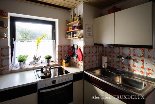 virtuve, Pet & Family Friendly House Viktorija - house near Golica with Triglav view in Planina pod Golico