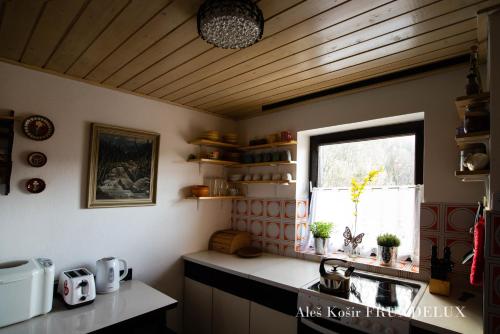 virtuve, Pet & Family Friendly House Viktorija - house near Golica with Triglav view in Planina pod Golico
