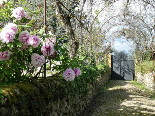 Il Casalone - image 4