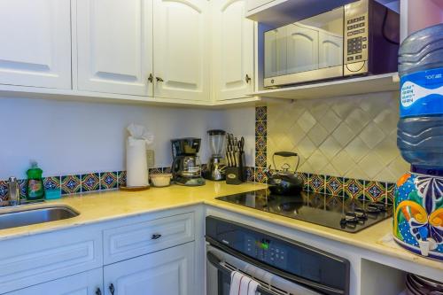 One-Bedroom Apartment image 8