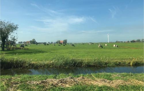 Two-Bedroom Holiday Home in Tzummarum - image 8