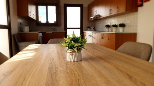 Dafni villa 8 - image 8