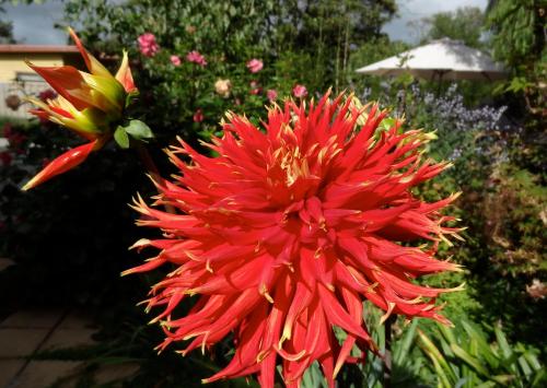 The Gallery Accommodation McCrae