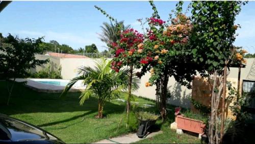 Beautiful 3 -bedroom house in Barreirinhas