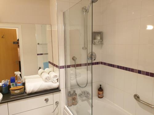 Birmingham Ruby, 2 bedroom Apartment, Birmingham (foto 7)