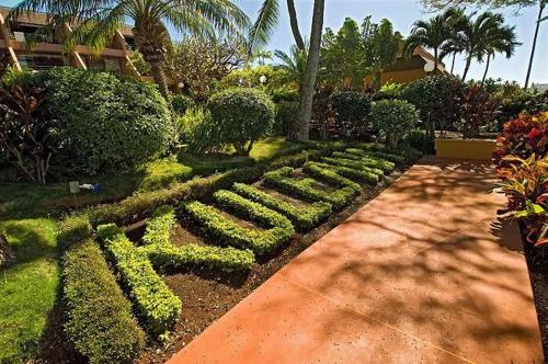 Welcome to your Oceanfront Island Paradise condo - image 5