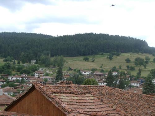 Sarafova Guest House - image 8